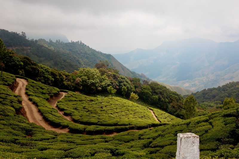 Home On The Range Munnar - HolidayMonk | Domestic Tour | International Tour | Resorts | Homestays