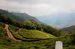 Home On The Range Munnar - HolidayMonk | Domestic Tour | International Tour | Resorts | Homestays