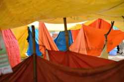 Home is where the inspiration is.