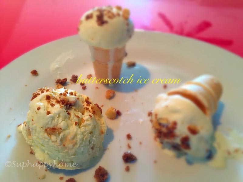 Homemade Butterscotch Ice Cream