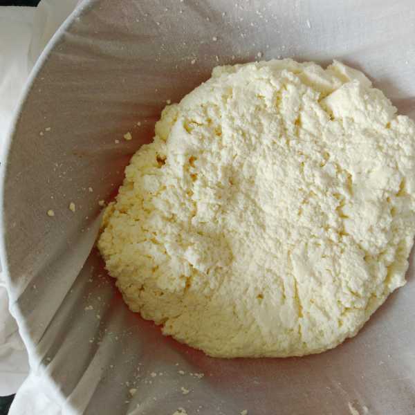 Homemade Ricotta Cheese - FLOURS & FROSTINGS