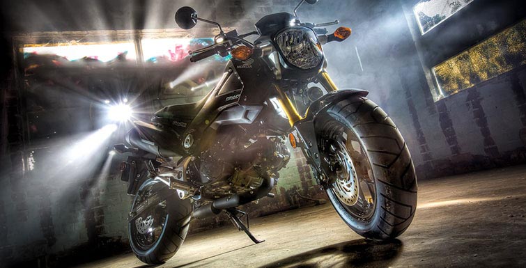 Honda Grom, 125cc For That Grommet, Young Surfer !