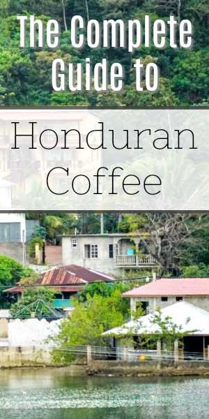 Honduran Coffee Beans: The Complete Guide [2018 Update]