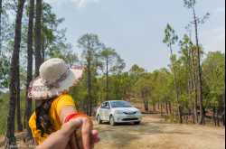 Honeymoon Road Trip to Chaukori Almora