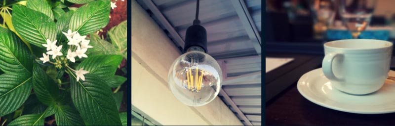 Honor 7X Camera Review - Dual Lens Magic, Has Scope To Get Better!