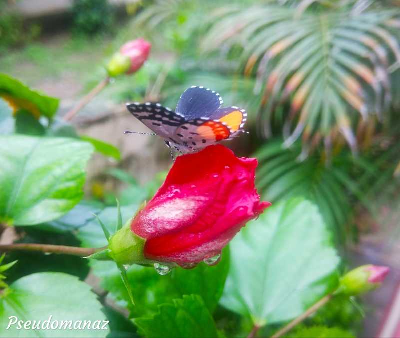 Hope Is A Good Thing