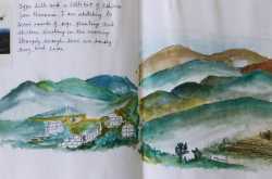 Hornbill Festival 2017 