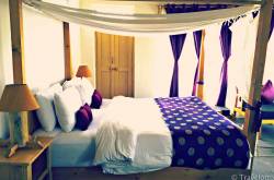 Hotel Review : A stay among clear sky and stars @ WoodyVu Stok House, Ladakh