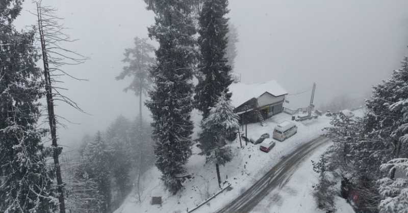 Hotel Review - Royal Tulip Kufri