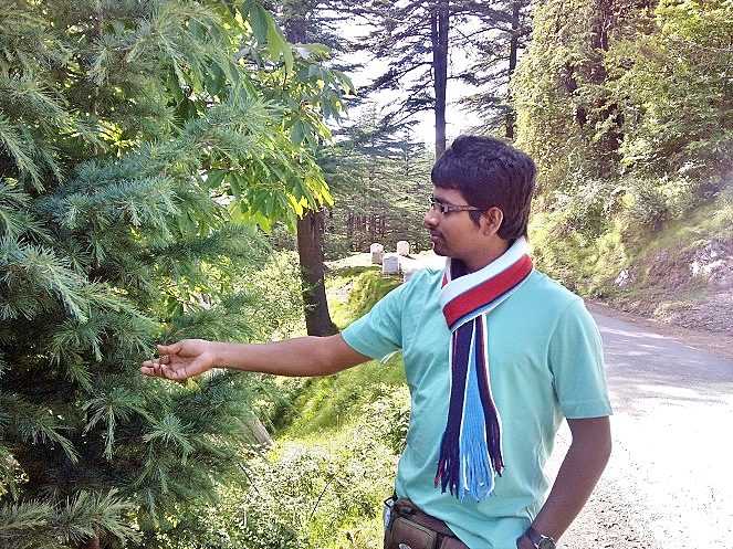 Hotel WildFlower Shimla Review > Photography Williamsburg, VA