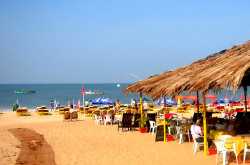 Hotels In Goa Near Baga Beach: For A Tranquil Holiday In The Lap Of Nature!