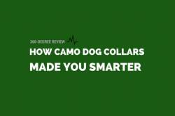 How Camo Dog Collars can Made you Smarter