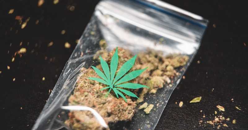 How Cannabis Helps In Treating Postpartum Depression?