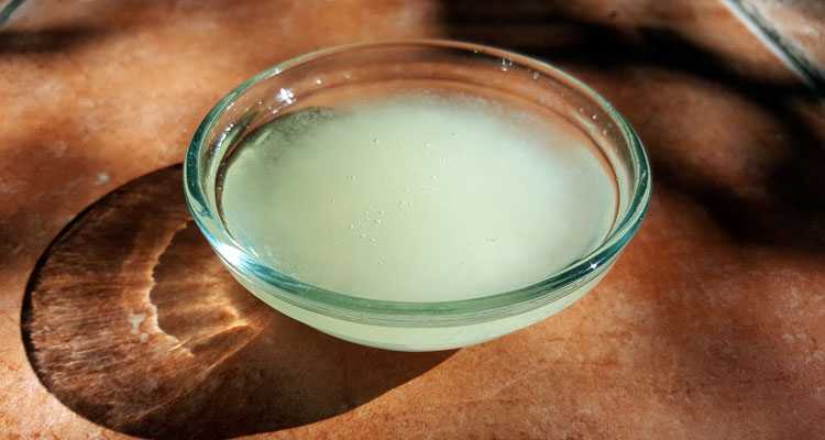 How Coconut Oil Can Help Soothe & Heal Dog’s Paws