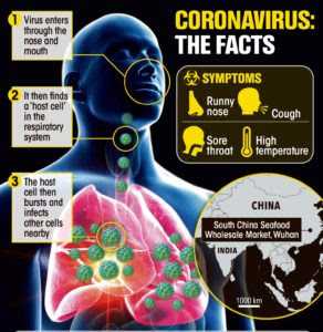 How Corona Virus (COVID-19) Affects The Body?