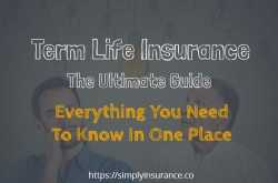 How Does Term Life Insurance Work (Everything You Need To Know)