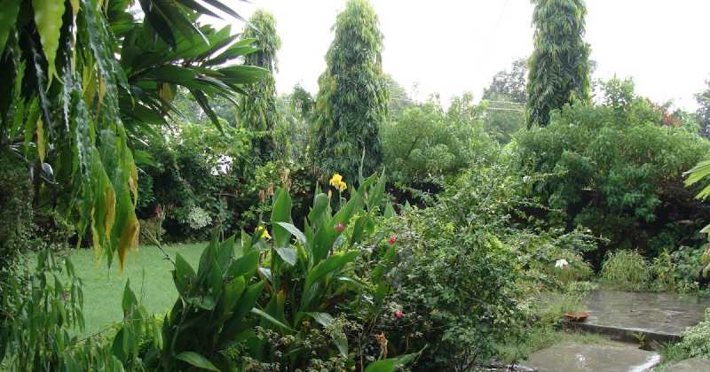 How Green Is My Valley