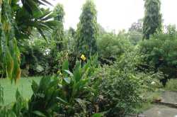 How Green is my valley