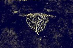 How I Met Your Parents