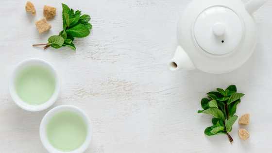 How I Use Green Tea For Hair Growth And Hair Loss?