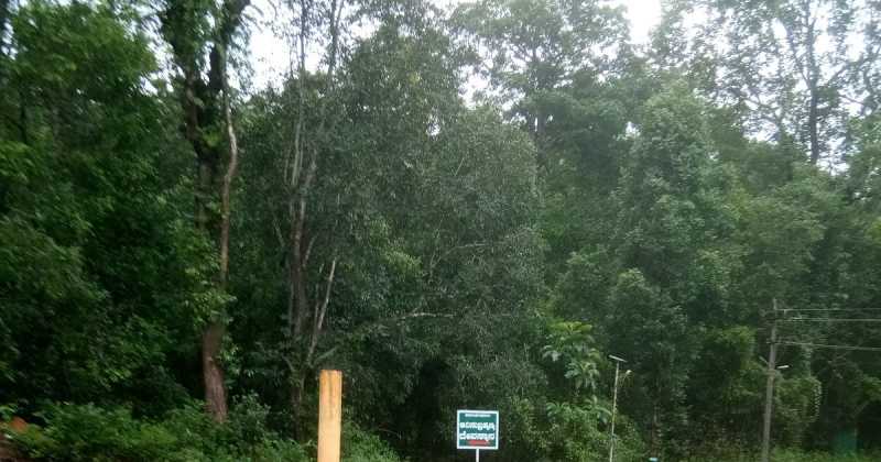 How I Got Those Bloodsuckers Off My A*s* …