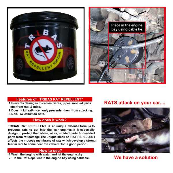 How I Protect My Car From The Rodents’ Nuisance