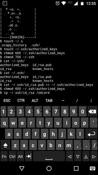 How I Turned My Phone Into A Hacking Machine 