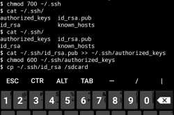 How I turned my phone into a hacking machine 