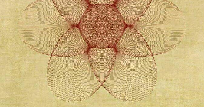 How Intelligence Is Different From Wisdom?