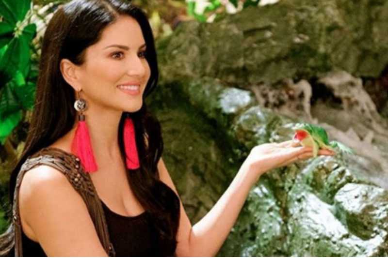 How Karenjit Kaur - The Untold Story Of Sunny Leone Explores Complex Relationship Dynamics Between Parents And Children? - MommysTimeline