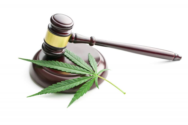 How Marijuana Use Or Business May Affect Your Family Law Case