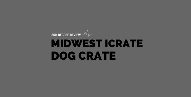 How Midwest ICrate Double Door Dog Crate Could Make You Happy