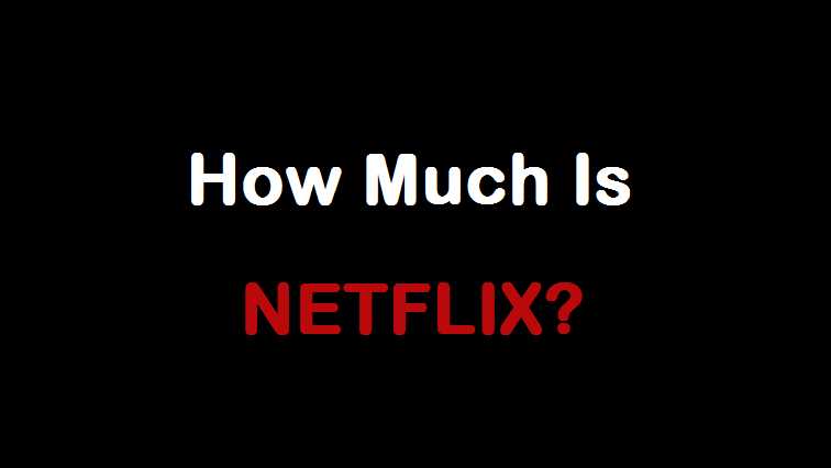 How Much Does Netflix Cost [August Updates] - IStreamist
