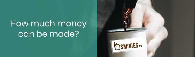 How Much Money Can You Earn From Watching Videos On Smores Via PrizeRebel?