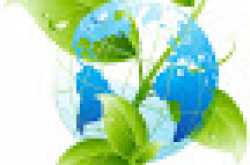 How Renting is the Green Way of Living