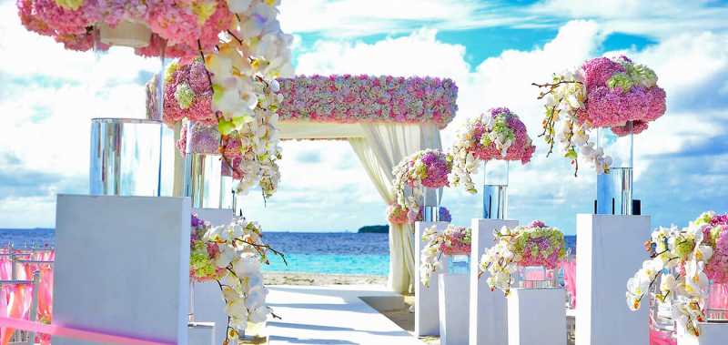 How To Develop A Wedding Planning App Like Wedding Wire? - 360 Degree Technosoft