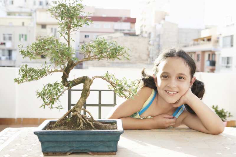 How To Do Bonsai - 4 Keys For The Beginner To Know - Blue Orchid Blog