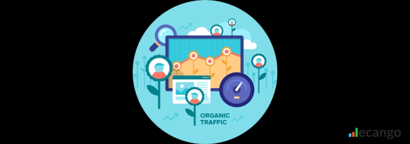 How To Increase Online Traffic To Your Website - Ecango