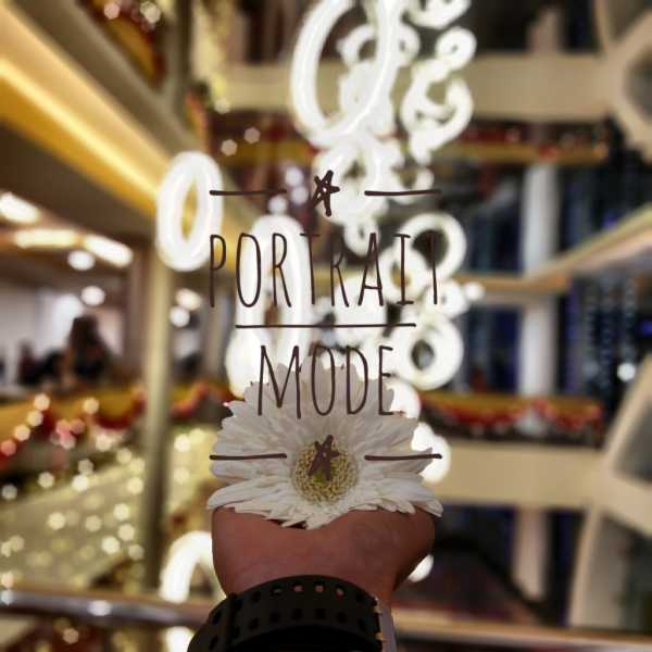 How To Make Portrait Mode For Any Android Device?