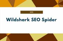 How To Perform an SEO Audit Using Wildshark SEO Spider