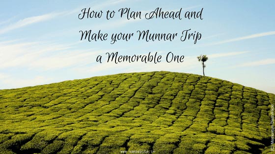 Plan Ahead And Make Your Munnar Trip A Memorable One!