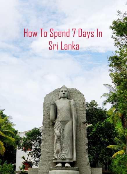 How To Spend 7 Days In Sri Lanka