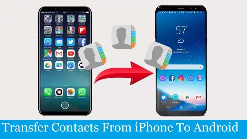 How To Transfer Contacts From IPhone To Android? Follow This 5 Steps