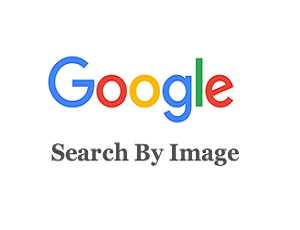 How To Use Google Reverse Image Search On PC & Mobile - OTechWorld