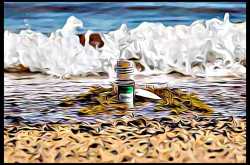 How Vegan Collagen Sources Can Improve Your Skin - Beauty and Fitness for Women