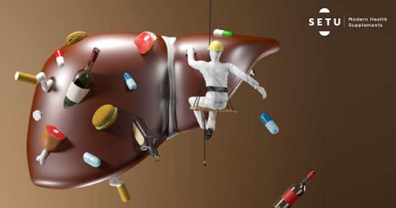 How Your Life Can Be Improved By Health Supplements