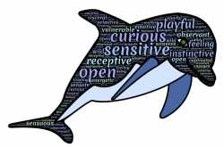 How a Spinal-cord injury changed my life - II - Wheelchair Wanderer