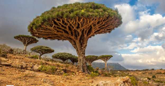 How A University Is Saving 2.5 Tons Of Paper Every Year?