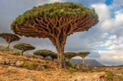 How a university is saving 2.5 tons of paper every year?