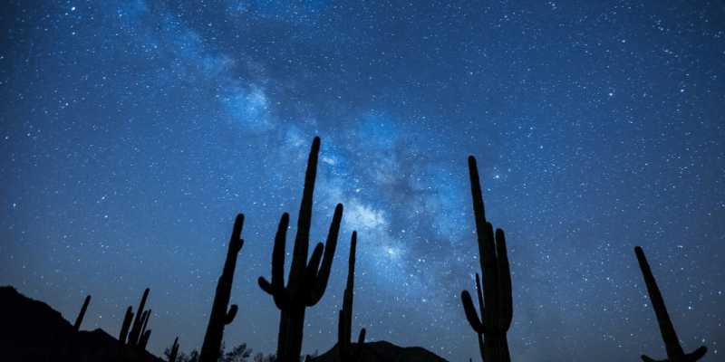 How Can You Live After You Die? - TheMumStory